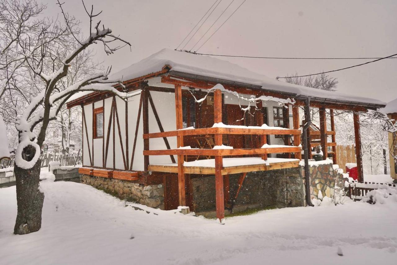 Mitrovic Boljevac Exterior foto